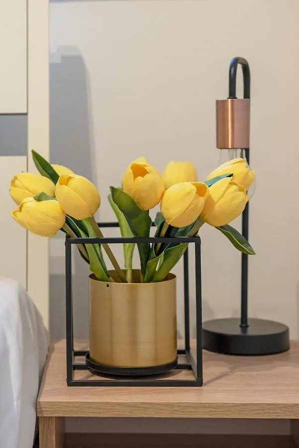 3D Kosciuszki 19 Apartament Krakow Apartment